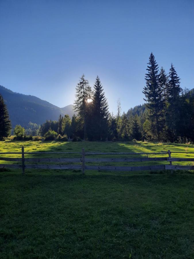 Haus Steinthaler Daire Stockenboi Dış mekan fotoğraf
