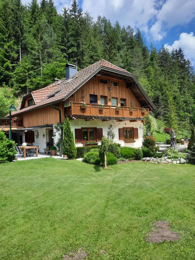 Haus Steinthaler Daire Stockenboi Dış mekan fotoğraf